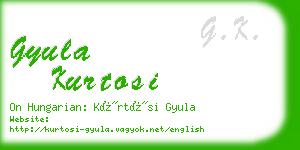 gyula kurtosi business card